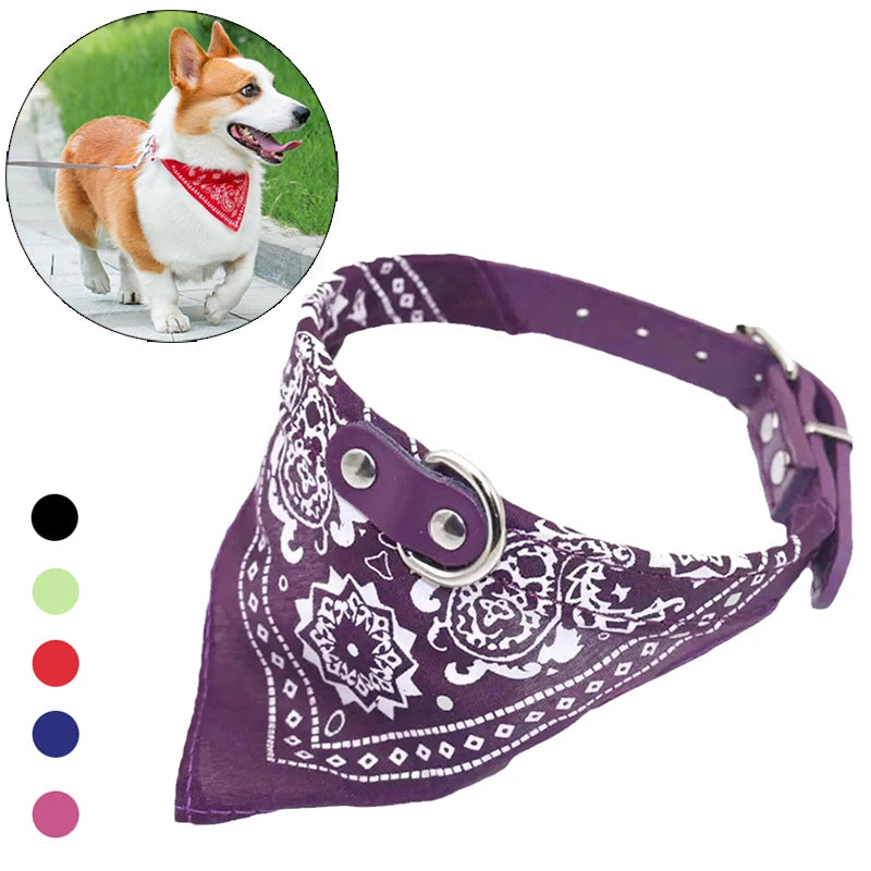 Collier Chien & Chat avec Foulard – Réglable