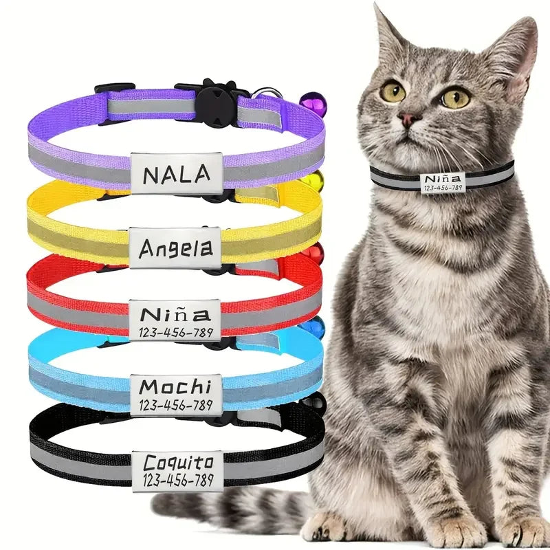 Collier Chat Personnalisé Réfléchissant avec Gravure