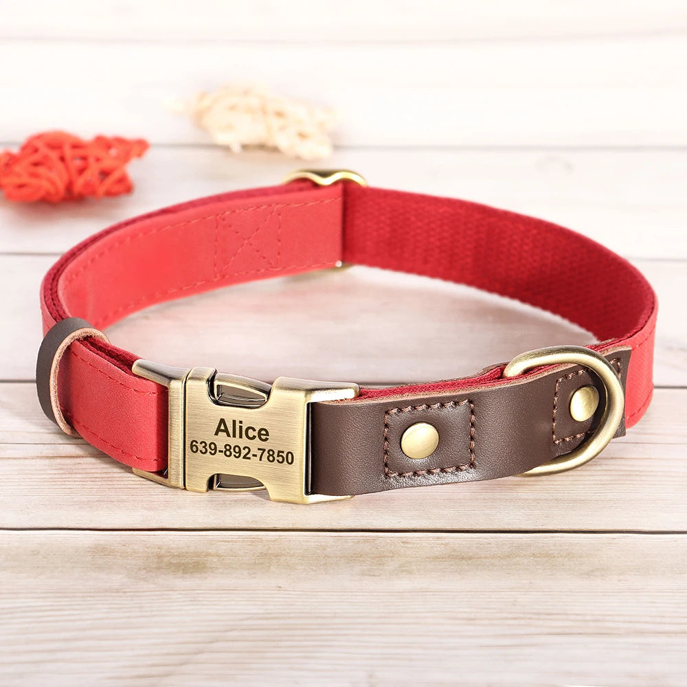 Collier Chien Personnalisé Gravé – Cuir  Réglable