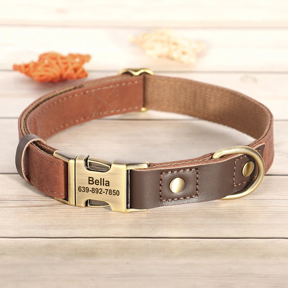 Collier Chien Personnalisé Gravé – Cuir  Réglable