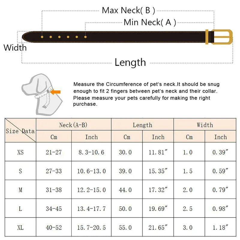 Collier Chien & Chat avec Foulard – Réglable