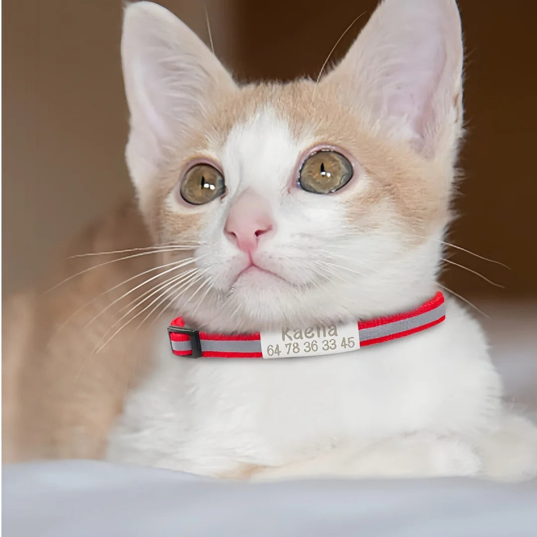 Collier Chat Personnalisé Réfléchissant avec Clochette