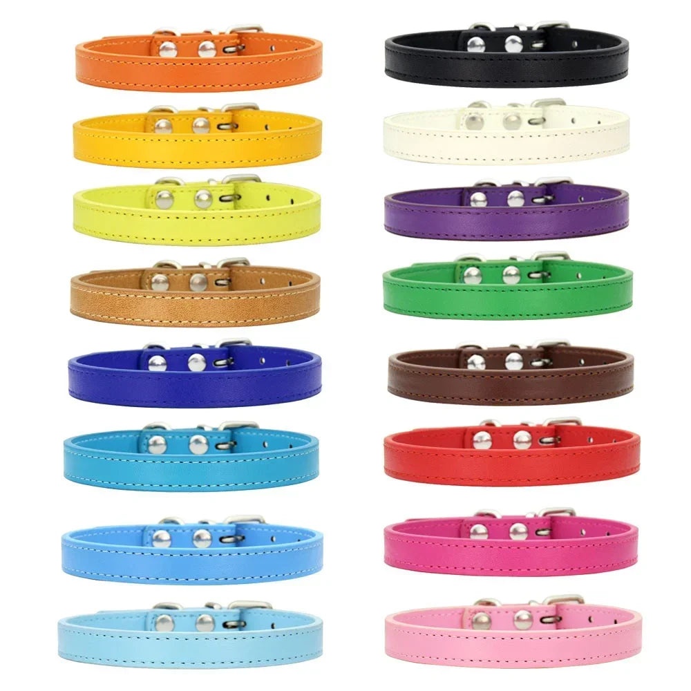 Collier Chat & Chien Personnalisé en Cuir Coloré
