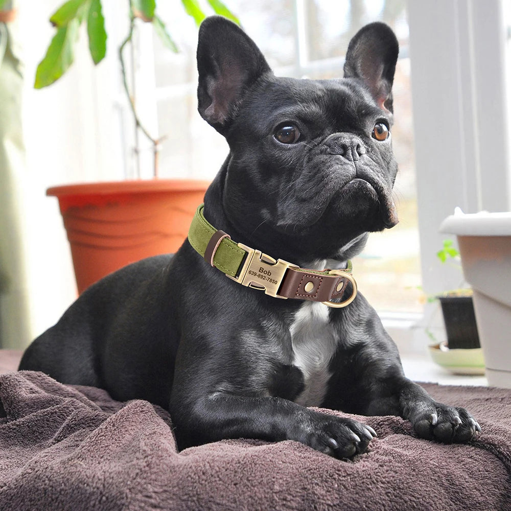 Collier Chien Personnalisé Gravé – Cuir  Réglable