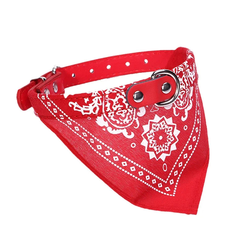 Collier Chien & Chat avec Foulard – Réglable