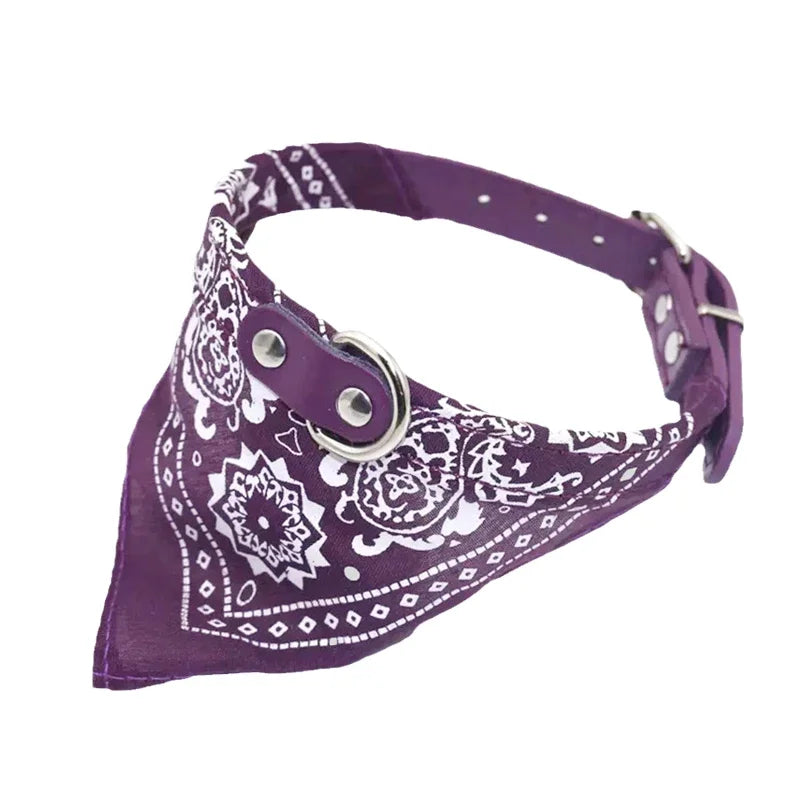 Collier Chien & Chat avec Foulard – Réglable